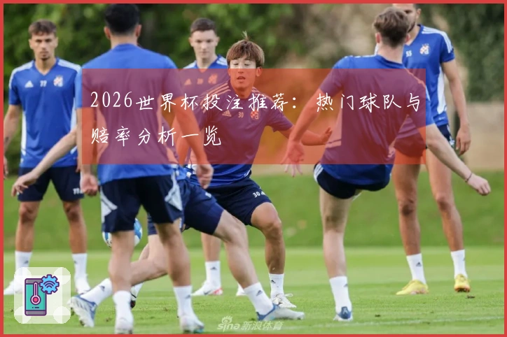 2026世界杯投注推荐：热门球队与赔率分析一览