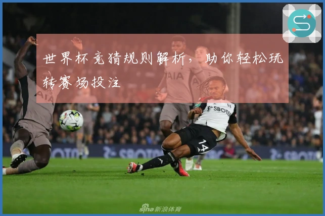 世界杯竞猜规则解析，助你轻松玩转赛场投注