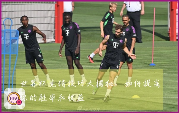 世界杯竞猜技巧大揭秘，如何提高你的胜率和收益