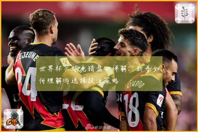 世界杯买球竞猜盘口详解：新手如何理解与选择投注策略