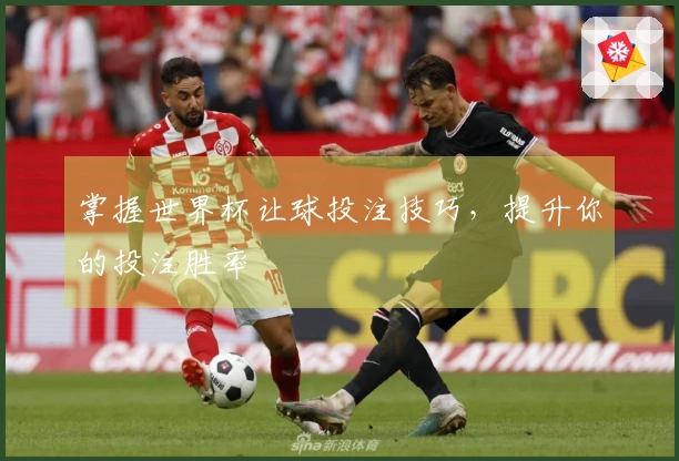 掌握世界杯让球投注技巧，提升你的投注胜率