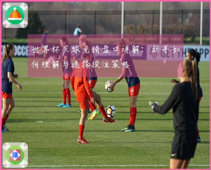 世界杯买球竞猜盘口详解：新手如何理解与选择投注策略