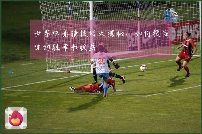 世界杯竞猜技巧大揭秘，如何提高你的胜率和收益