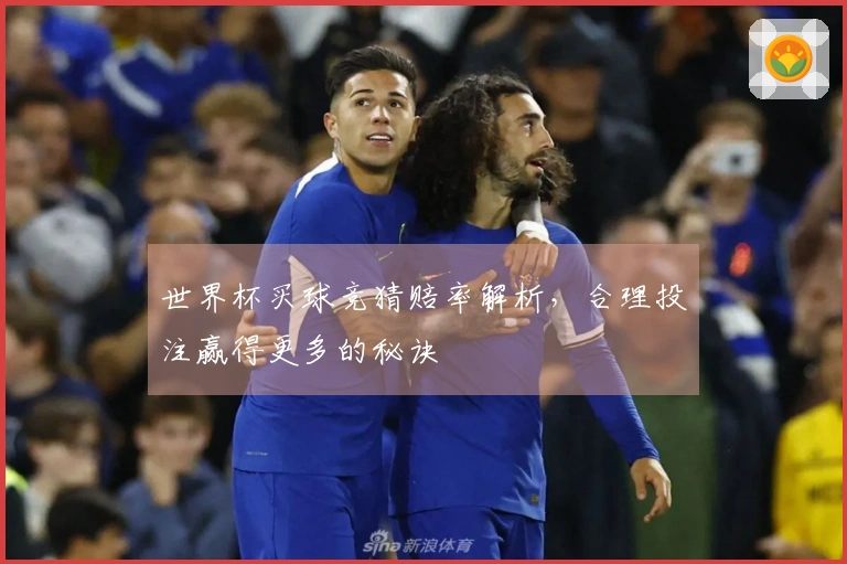 世界杯买球竞猜赔率解析，合理投注赢得更多的秘诀